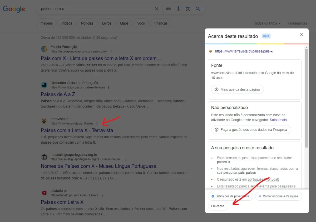 Cache do Google: definição, funcionamento e utilidade